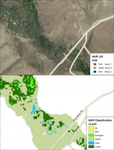 Dauwalter and colleagues used infrared aerial photographs from the National Agricultural Imagery Program (top) to map land cover (bottom) and predict Redband Trout occurrence and density. 
