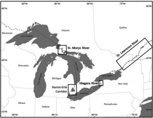 Figure 1 Map of the Great Lakes region showing the four connecting channels including the St. Marys River, Huron-Erie Corridor (St. Clair River, Lake St. Clair, and Detroit River), Niagara.(Hondorpt et al., 2014)