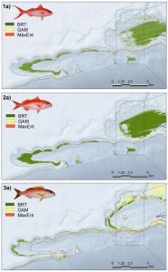 Figure 1. Differences in habitat distribution (in water between 100 – 300m in depth) predicted by each of the three models for each fish species. The top row (1) depicts distribution of E. coruscans, the center row (2) depicts distribution of E. carbunculus, and the bottom row (3) depicts distribution of P. filamentosus.