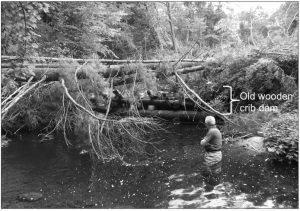 Exhumed wooden crib dam. Photo taken soon following the 28 June 2013 flood (Magilligan et al., 2016).
