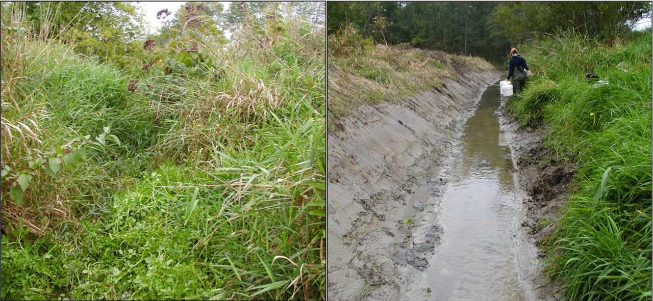 A drainage ditch before (left) and after (right) drain maintenance. 