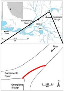 Figure 2 The research was conducted in the Sacramento-San Joaquin River Delta near Sacramento, California (top). The BAFF (red line) was placed to deter fish from entering the Georgiana Slough, and encourage them to enter the Sacramento River. Modified from Perry et al. (2014). 