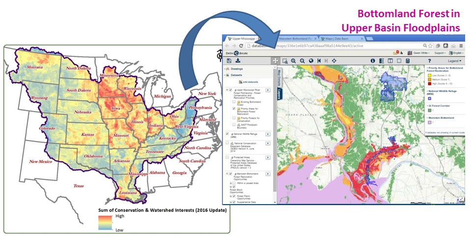 Stakeholders developed a publicly-accessible online spatial analysis (Precision Conservation Blueprint v1.0) to locate key regions for connecting and enhancing wildlife habitat on marginal agricultural lands across the Mississippi Basin and at higher resolution in pilot watersheds of the Midwest and Mississippi Alluvial Valley.