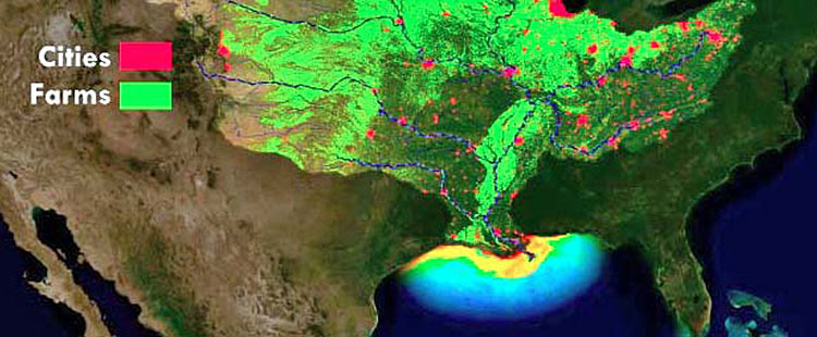 Nutrient pollution from the Mississippi River fuels loss of oxygen in the Gulf of Mexico Hypoxic Zone. Credit: NOAA Environmental Visualization Lab. 