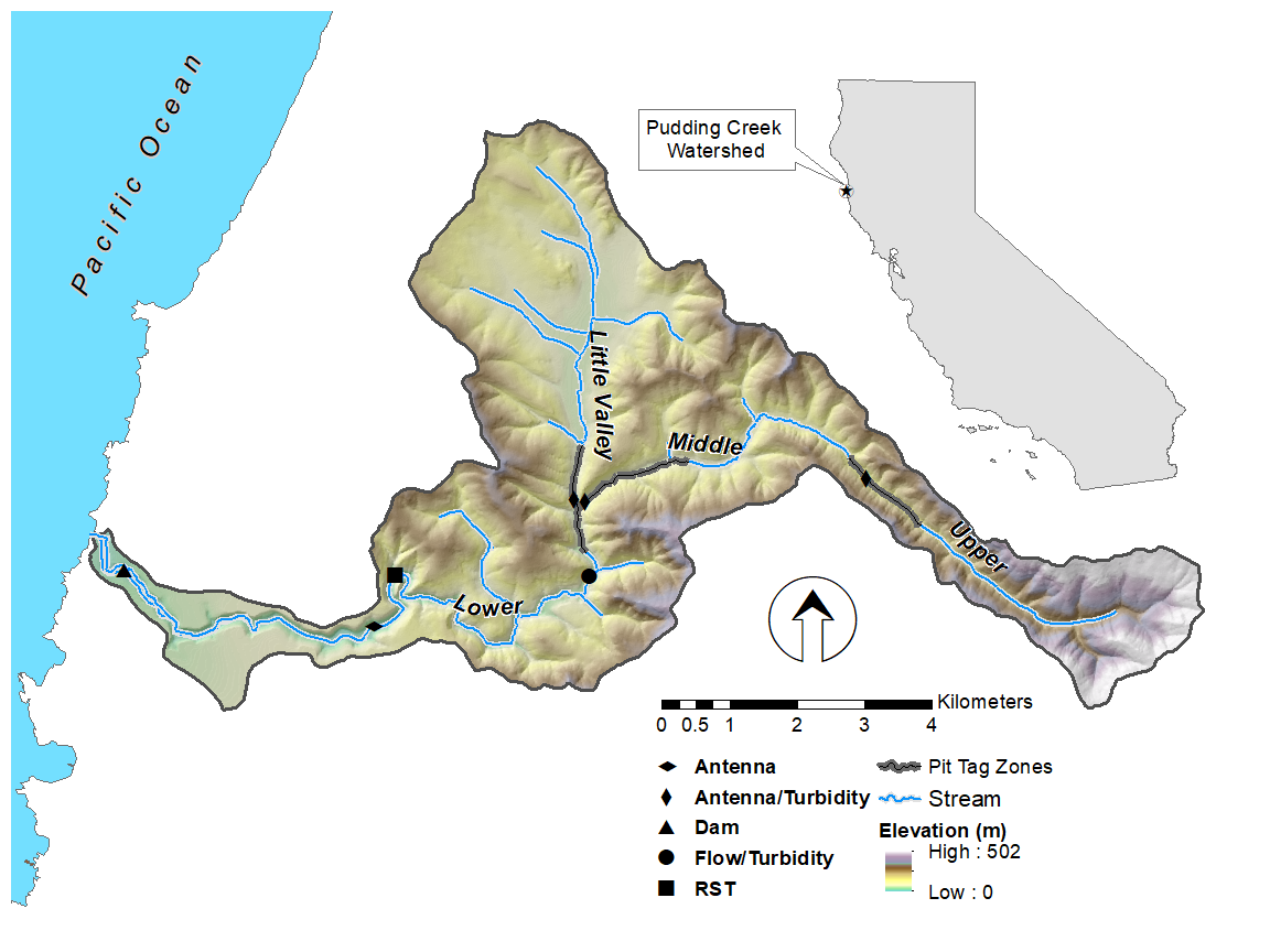 Does turbidity determine fish growth? – Fish Habitat Section of the ...