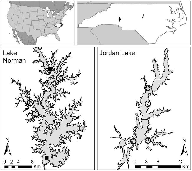 Potential competition between black crappie and invasive white perch in  freshwater reservoirs – Fish Habitat Section of the American Fisheries  Society